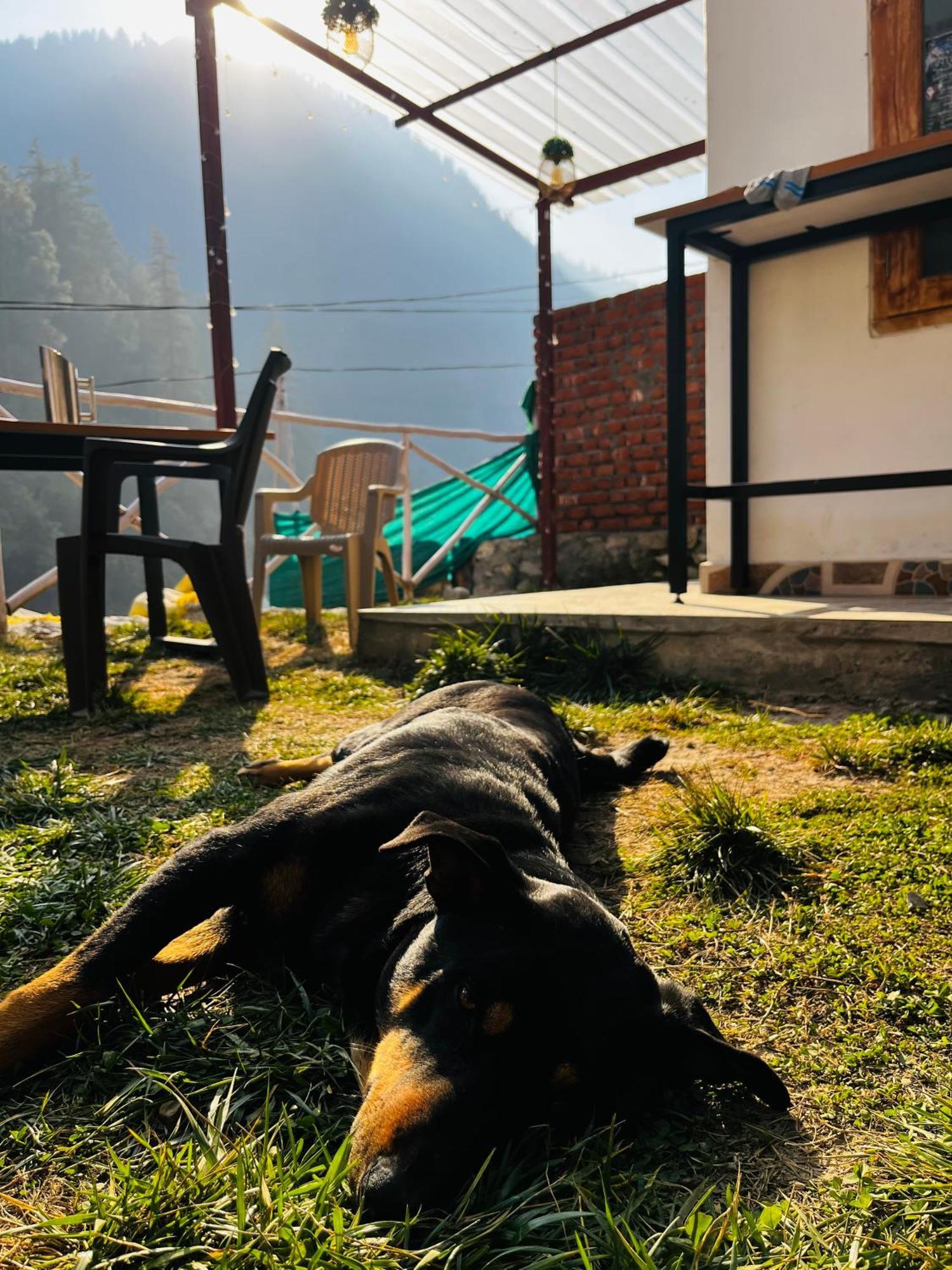 Hotel Adinova Kasol Exteriér fotografie
